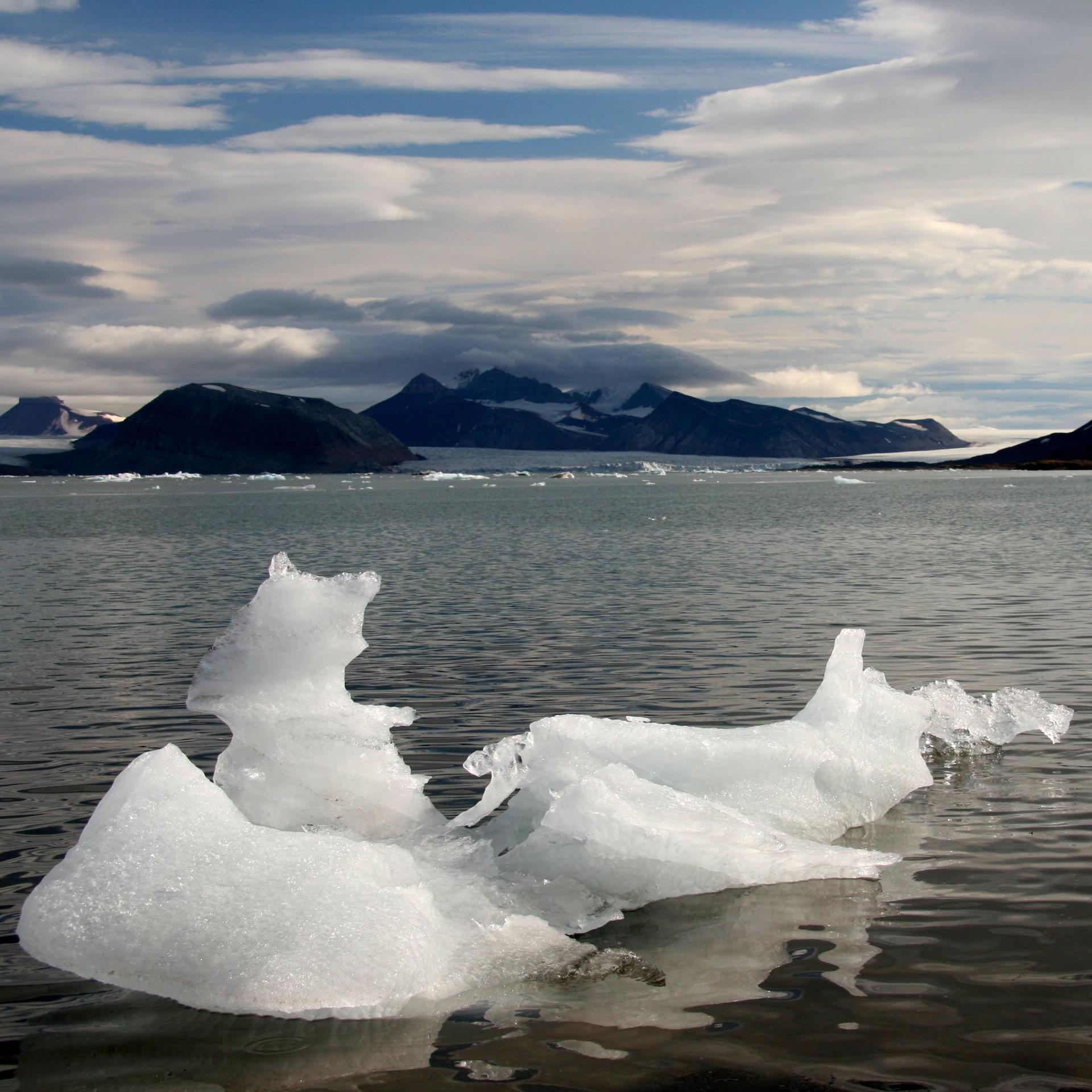 Restos de un iceberg glaciar en Svalbard, Noruega. Crédito: Fabien Maussio