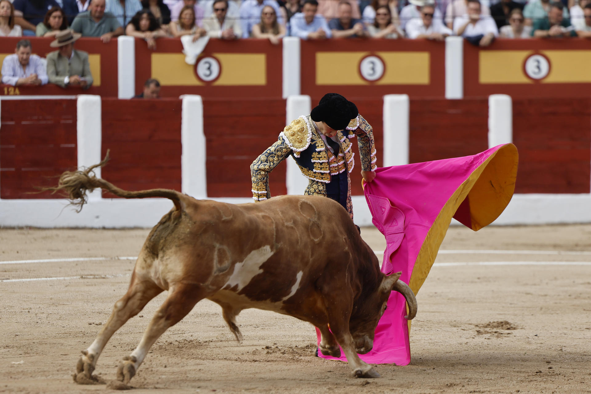 El diestro Tomás Rufo se enfrenta al toro con su capote durante el festejo Taurino celebrado, este domingo, en Talavera de la Reina. EFE/Manu Reino