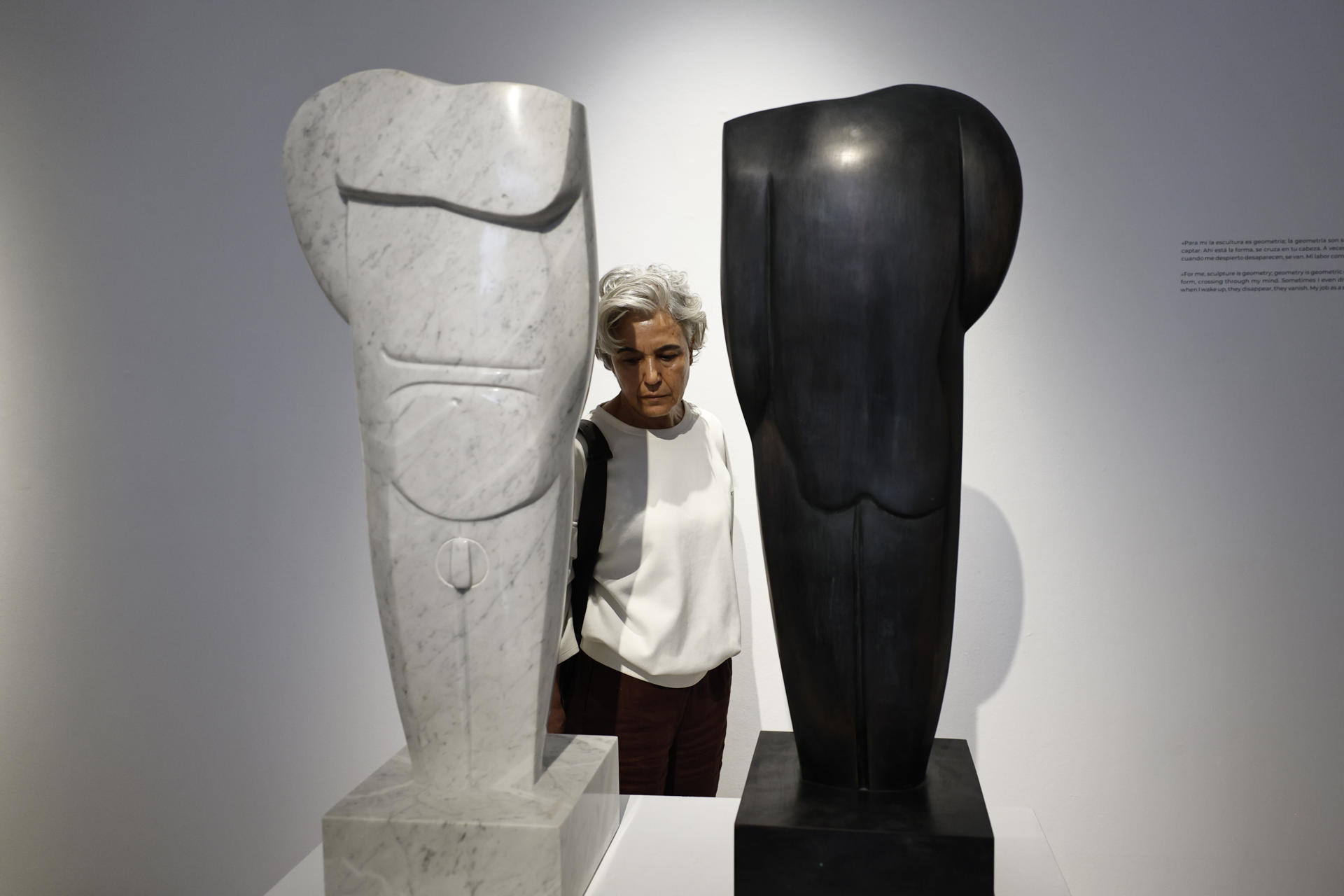 Vista de la presentación de la exposición 'En clave de sol. Málaga y Elena Laverón', este miércoles en Málaga.-EFE/ Jorge Zapata