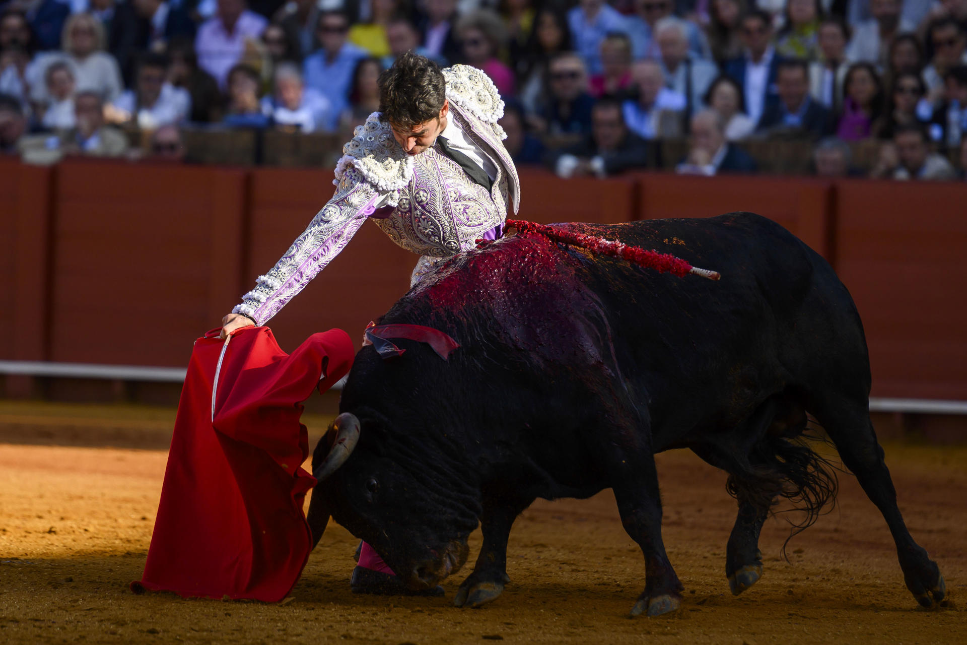 SEVILLA. 10/05/2025. - El diestro Cayetano da un pase a su toro durante la corrida en la Maestranza de Sevilla, en la que comparte cartel con los diestros Roca Rey, y el onubense David de Miranda, este sábado en Sevilla. EFE/ Raúl Caro.