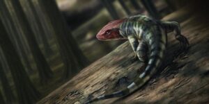 Ilustración que recrea la figura del amniota primitivo que imprimió las huellas. Crédito: Marcin Ambrozik