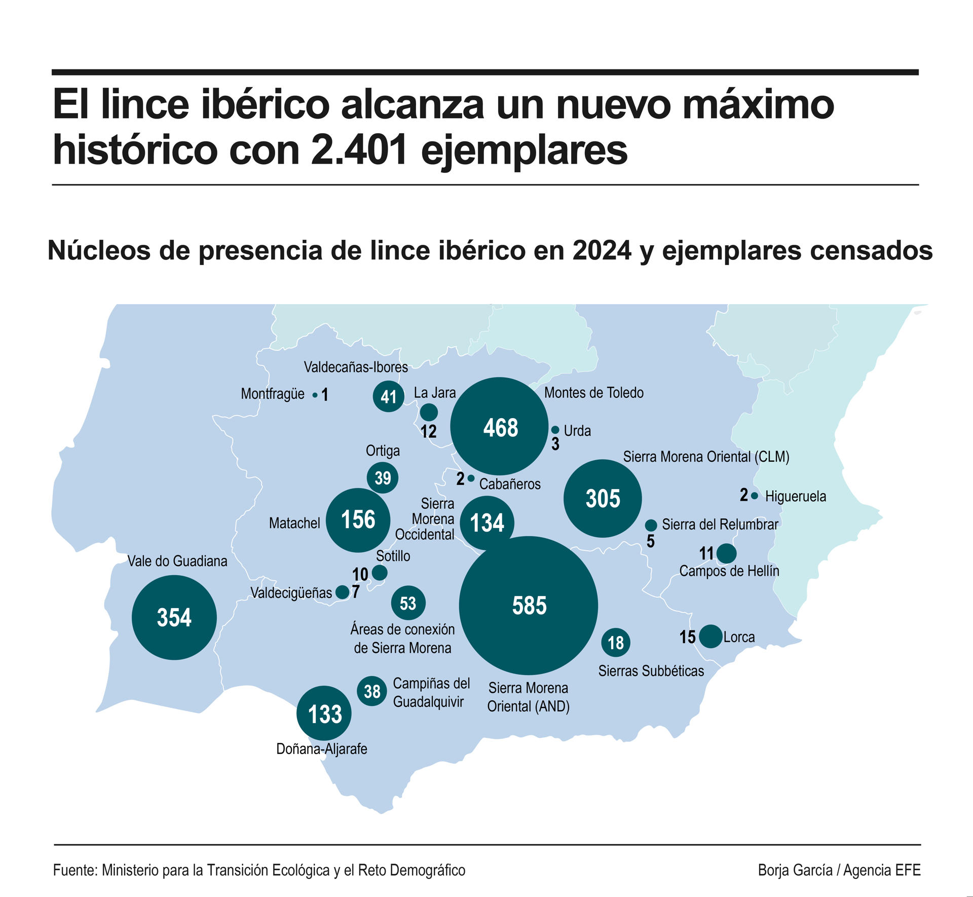 Detalle de la infografía de la Agencia EFE "El lince ibérico alcanza un nuevo máximo histórico con 2.041 ejemplares", disponible en http://www.efeservicios.com. EFE