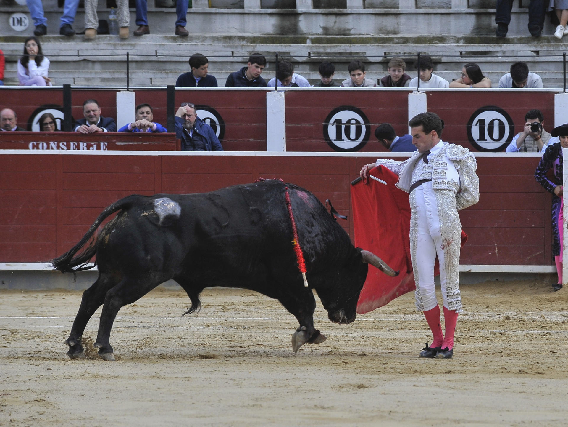 El diestro Fernando Adrián en su faena durante la tradicional corrida de Asprona que se ha celebrado hoy sábado en la plaza de toros de Albacete. EFE / Manu.
