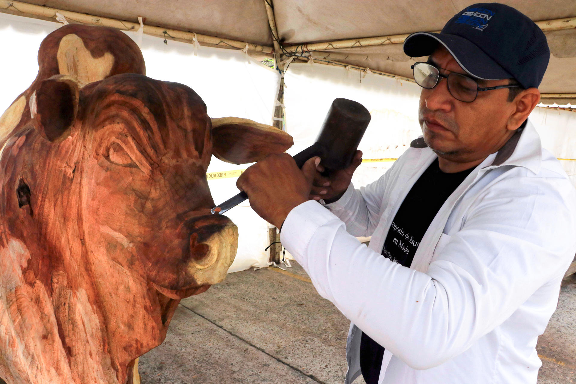 Un grupo de escultores bolivianos y argentinos compite en Bolivia para mostrar sus mejores dotes de tallado en madera, en un evento que se realiza en la ciudad de Santa Cruz y que cuenta con la participación de casi una decena de concursantes en el 'Simposio de Escultura en Madera'. EFE/Juan Carlos Torrejón