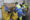 Imagen de archivo del proeso de selección y separación de residuos del contenedor amarillo. EFE/ Daniel Luque