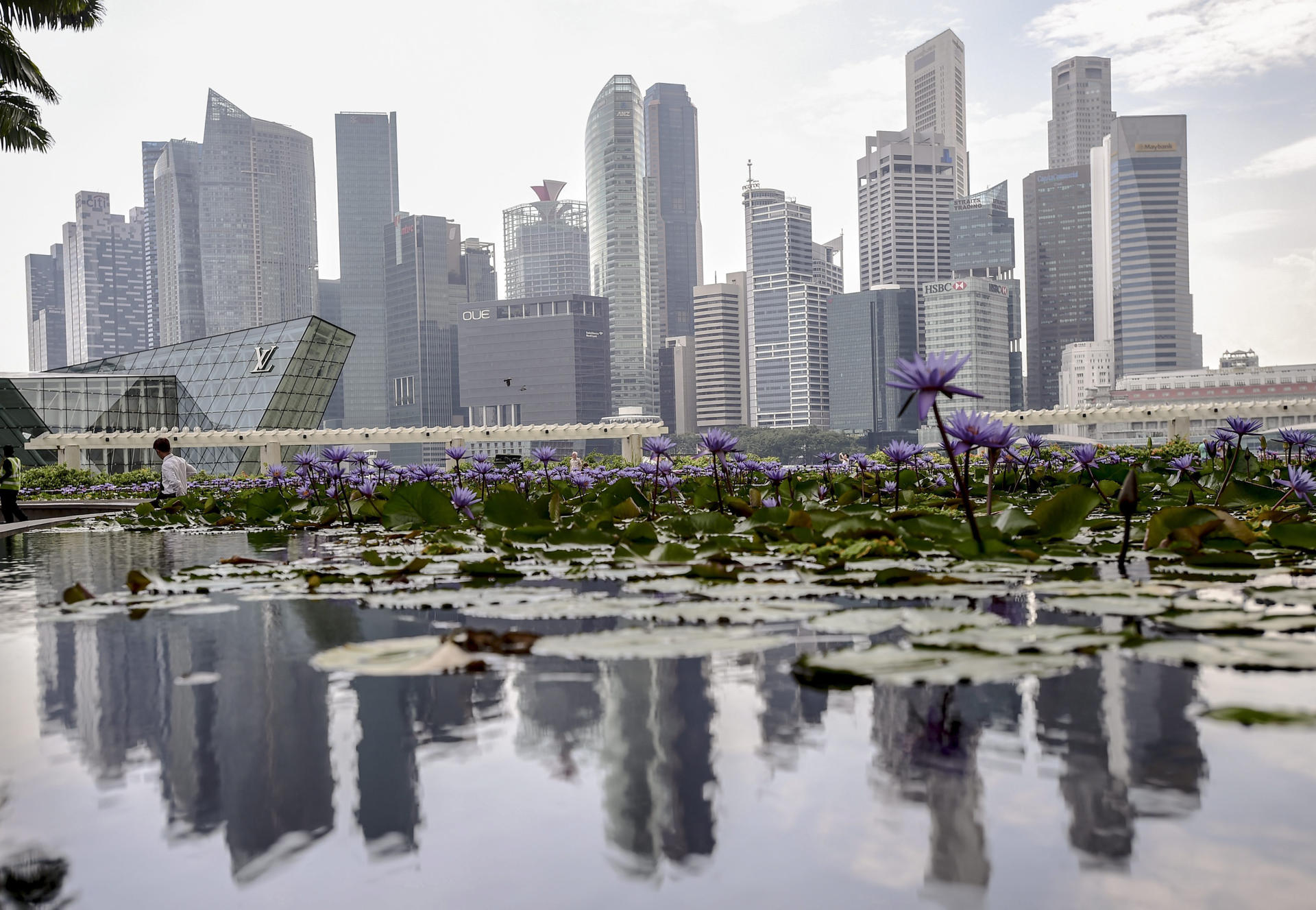 Reflejo del horizonte del Distrito Central de Negocios en un estanque de lotos en Marina Bay Sands, Singapur, en una fotografía de archivo. EPA/WALLACE WOON EPA/WALLACE WOON