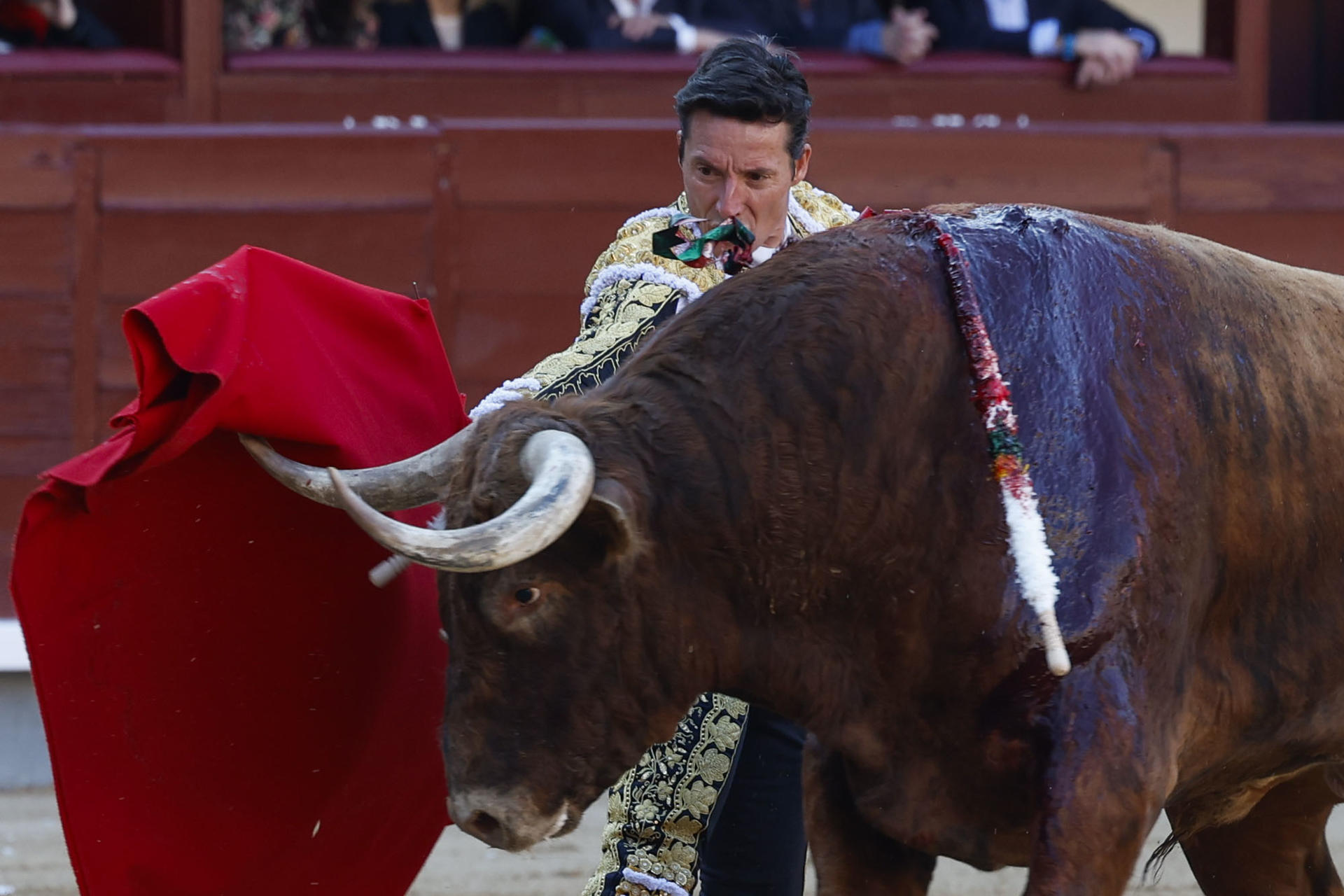 El diestro Diego Urdiales en su faena durante la corrida celebrada hoy sábado en la plaza de toros de Las Ventas, en Madrid, incluida en la Feria de San Isidro. EFE / JJ Guillen.