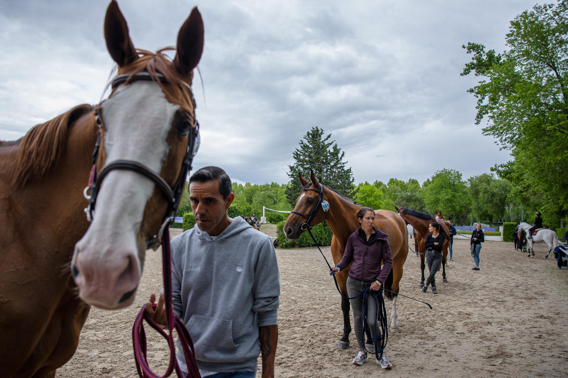 Los cuidadores preparan los caballos para el mayor evento hípico del año, el Longines Global Champions Tour, que reunirá a la élite ecuestre mundial del 16 al 18 de mayo en el Club de Campo Villa de Madrid. EFE/ Daniel González