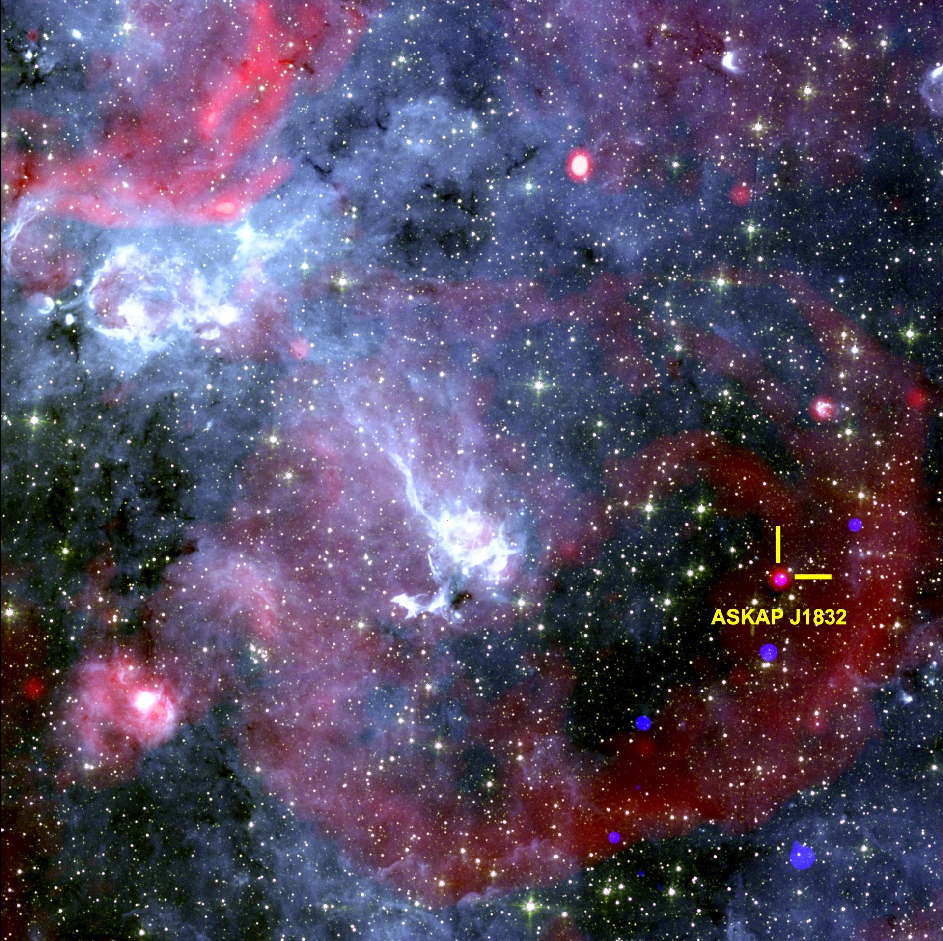 Imagen del cielo que muestra la región alrededor de ASKAP J1832-0911. Rayos X del Observatorio de Rayos X Chandra de la NASA, datos de radio del radiotelescopio sudafricano MeerKAT y datos infrarrojos del Telescopio Espacial Spitzer de la NASA. Créditos: Ziteng (Andy) Wang, ICRAR. Imagen facilitada por el IAA.