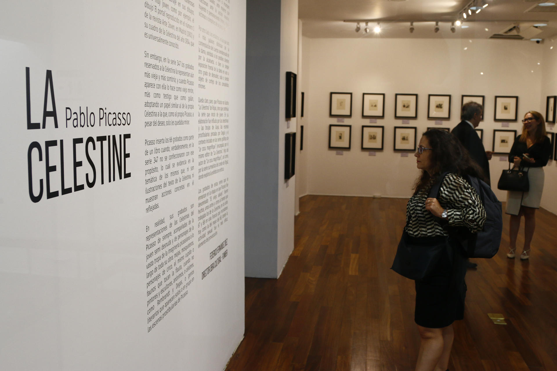 Una persona asiste a la exposición sobre la interpretación con 66 grabados que el artista español Pablo Picasso (1881-1973) hizo de 'La Celestina', este martes en el Centro Cultural de España en Panamá (CCE) en Ciudad de Panamá (Panamá). EFE/ Moncho Torres