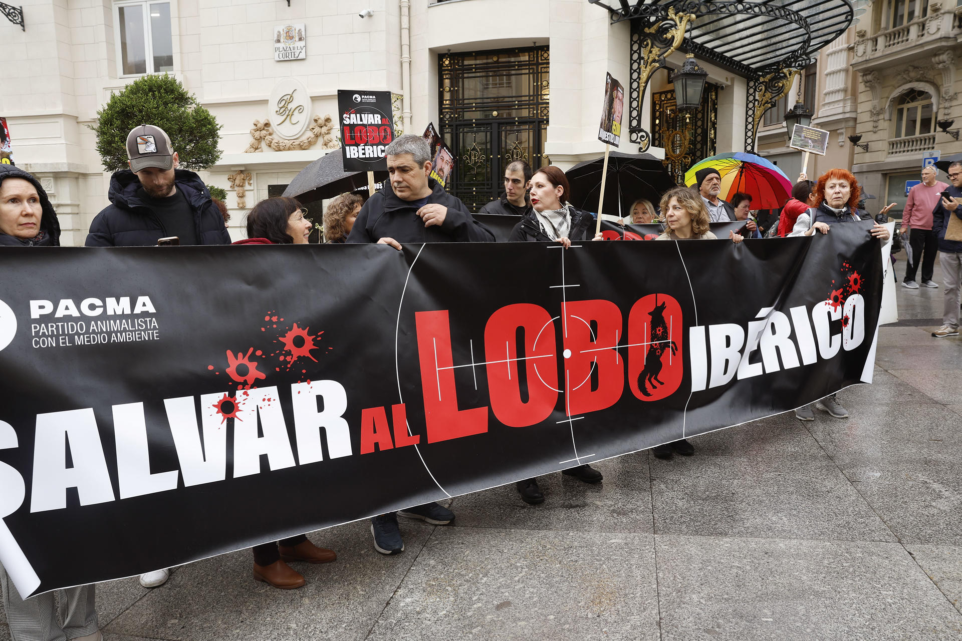 El partido animalista PACMA ha convocado una concentración en defensa del lobo ibérico frente al Congreso de los Diputados, este miércoles. EFE/ J.P. Gandul