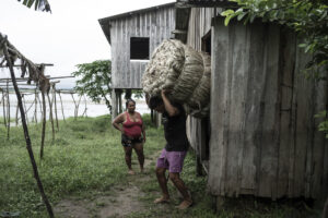 Un agricultor carga fardos de fibra de malva este domingo, en la comunidad de Boca do Supiá, en la ciudad de Manacapuru (Brasil). EFE/ Raphael Alves
