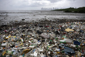 Fotografía de escombros y plásticos en una bahía este viernes, en Ciudad de Panamá (Panamá). EFE/Bienvenido Velasco