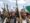 Simpatizantes hutíes gritan consignas y levantan sus armas durante una protesta contra Estados Unidos e Israel en Saná, Yemen, 09 de mayo de 2025. Miles de simpatizantes hutíes se reunieron en Saná para protestar contra la reciente campaña de bombardeos de Estados Unidos e Israel contra posiciones controladas por los hutíes en Yemen y para expresar su apoyo a los palestinos en la Franja de Gaza. El líder hutí Abdul-Malik al-Houthi dijo en un discurso televisado que el grupo ha llevado a cabo más de 130 ataques contra Israel desde mediados de marzo, utilizando 253 misiles balísticos e hipersónicos y drones, en apoyo a los palestinos en Gaza. (Protestas, Estados Unidos) EFE/EPA/YAHYA ARHAB