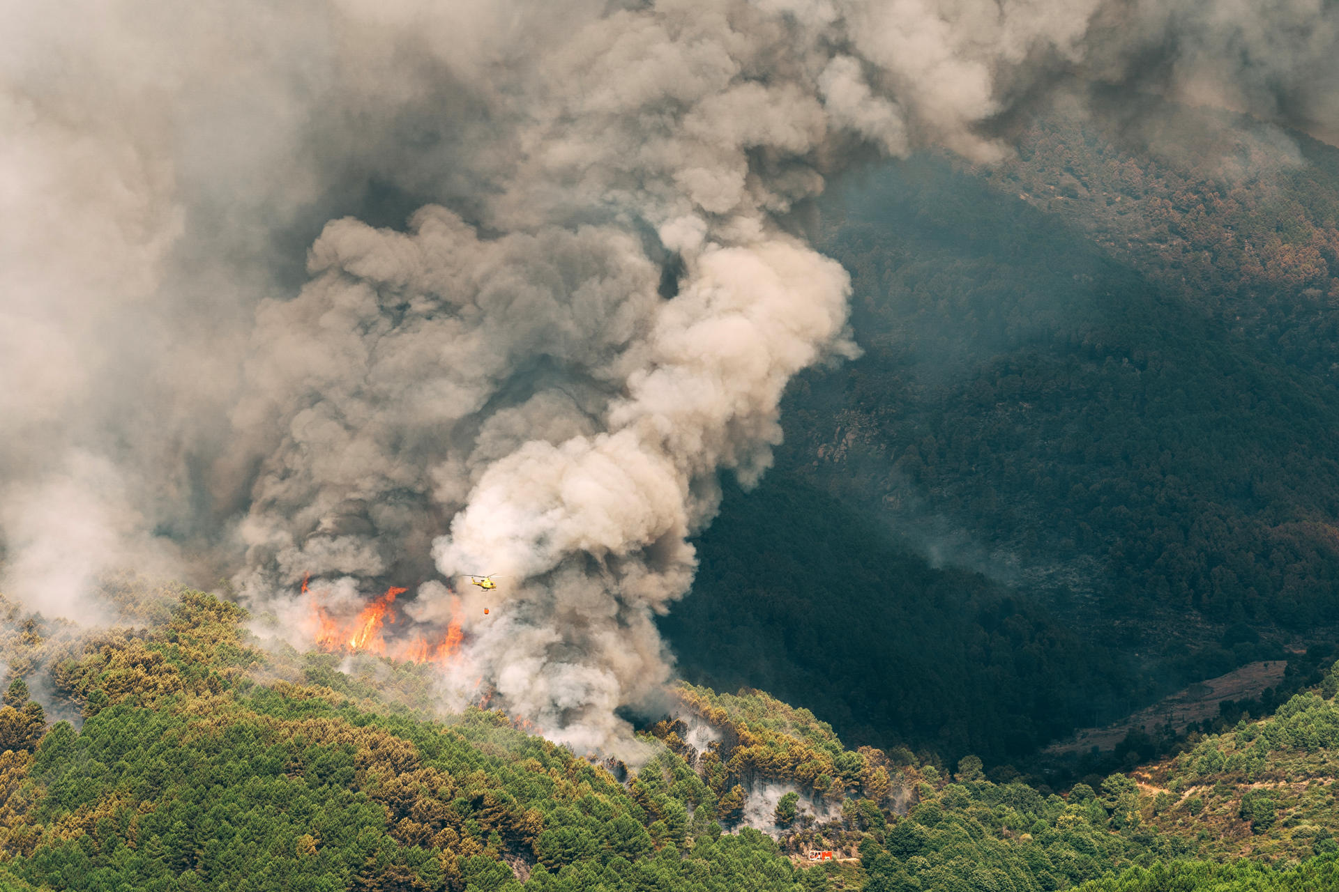 En la imagen de archivo, medios aéreos trabajan para apagar un fuego en Santa Cruz del Valle (Ávila). EFE/ Raúl Sanchidrián