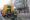 Foto de archivo de un grupo de bomberos en un incendio en Madrid. EFE/ Kiko Huesca