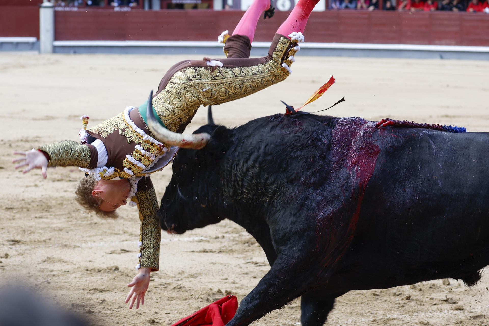 El diestro Clemente, que confirma alternativa, sufre una cogida en la corrida de la Feria de San Isidro, con reses de Victoriano del Río y Cortés, este viernes en la Plaza de Toros de Las Ventas, en Madrid. EFE/Juanjo Martín