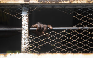 Fotografía de archivo en donde se ve la mano de un migrante tras una reja. EFE/ Orlando Barría