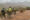 Fotografía cedida por el Ejército de Chile de integrantes de la Patrulla de Auxilio y Rescate Militar de la Brigada de Operaciones Especiales 'Lautaro' del Ejército chileno, durante los trabajos de búsqueda de una avioneta extraviada este jueves, en la comuna de Curacaví, Santiago (Chile). EFE/ Ejército de Chile