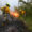 Integrantes del Ejército de Paraguay combaten un incendio forestal este miércoles, en San Bernardino (Paraguay). EFE/ Ministerio de Defensa de Paraguay