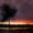 Un árbol sobre un campo de maíz inundado cerca del pueblo de Ramotswa al suroeste de Botswana, en una fotografía de archivo. EFE/Jon Hrusa