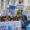La profesión veterinaria se concentra frente al Congreso de los Diputados por "la defensa de la salud de nuestros animales", este miércoles, en Madrid. EFE/Juan Carlos Hidalgo