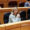La ministra de Educación, Pilar Alegría, en un pleno del Senado. EFE/ Rodrigo Jiménez