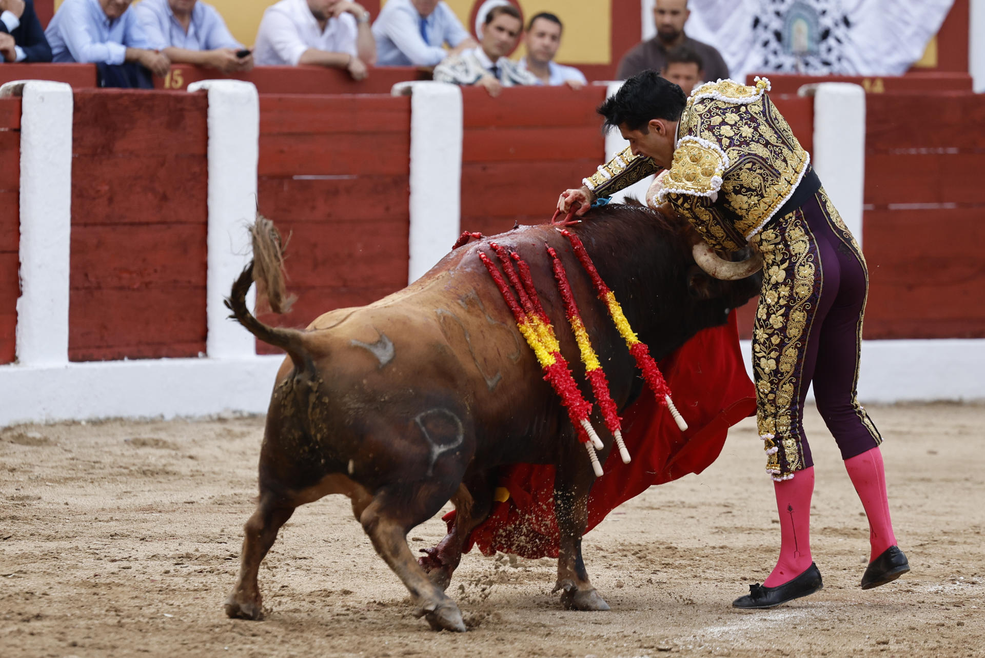 El diestro Alejandro Talavante entra a matar su primer toro en el festejo Taurino celebrado, este domingo, en Talavera de la Reina. EFE/Manu Reino
