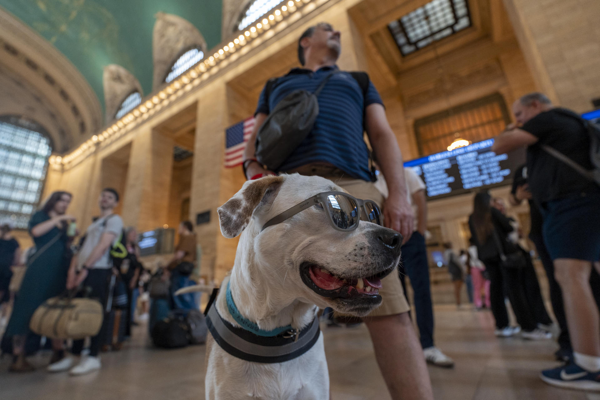 Una persona con un perro posa en la estación Grand Central en Manhattan este sábado, en Nueva York (Estados Unidos). EFE/ Ángel Colmenares