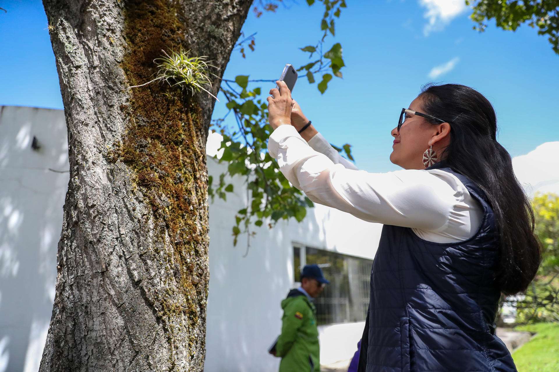 Una mujer registra una planta en la plataforma digital iNaturalist este jueves, en Quito (Ecuador). EFE/ José Jácome