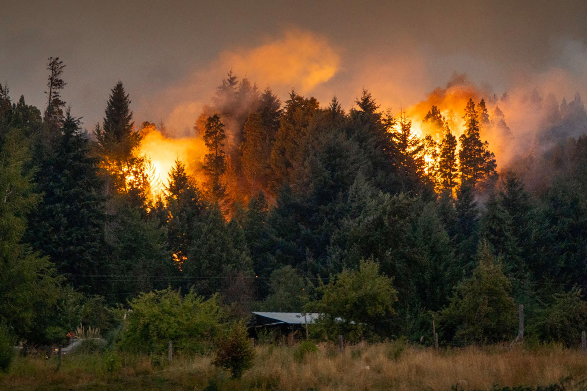 Fotografía sin fecha de un incendio forestal en Neuquén (Argentina). EFE/ Greenpeace