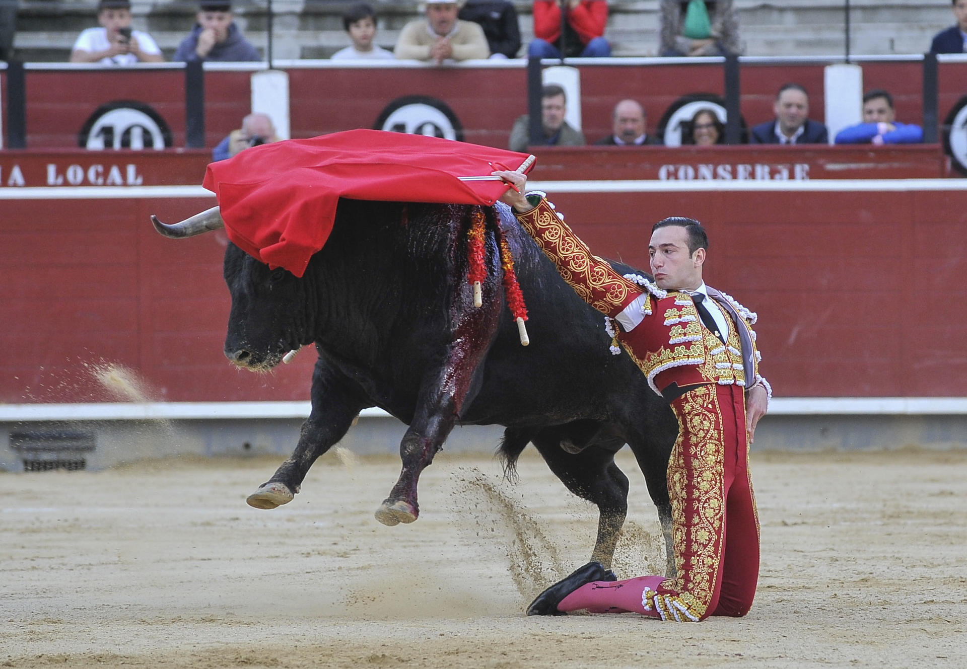 El diestro José Fernando Molina en su faena durante la tradicional corrida de Asprona que se ha celebrado hoy sábado en la plaza de toros de Albacete. EFE / Manu.