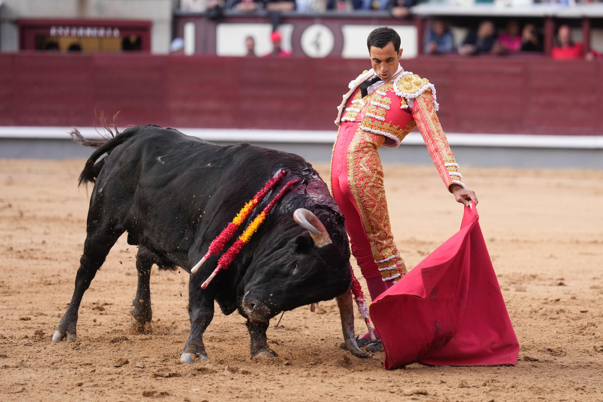 El diestro Paco Ureña lidia un toro durante la corrida de la Feria de San Isidro, la plaza de Las Ventas, enMadrid. Toros de José Enrique Fraile de Valdefresno. EFE/ Borja Sanchez-Trillo