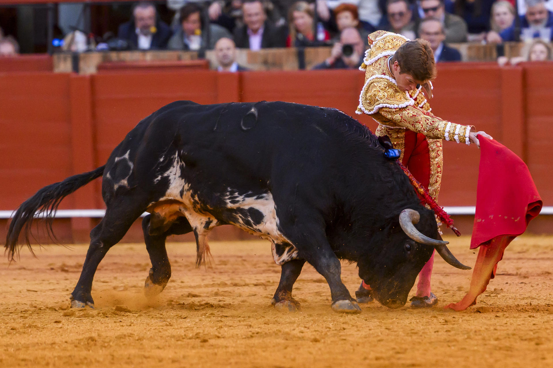 El diestro Borja Jiménez da un pase con la muleta al segundo de los de su lote, al que ha cortado dos orejas, durante el séptimo festejo de abono de la Feria de Abril celebrado este viernes en La Real Maestranza, en Sevilla. EFE/Raúl Caro