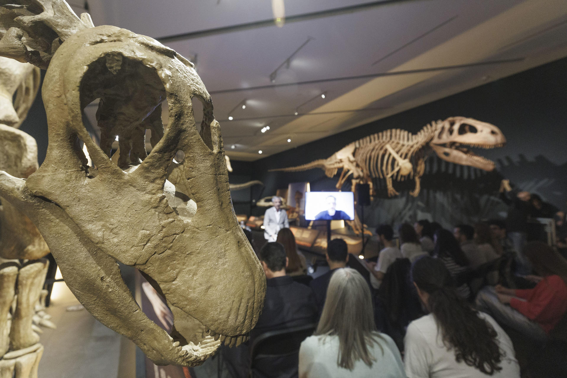 CaixaForum Zaragoza presenta la exposición Dinosaurios de la Patagonia, que incluye una réplica en silicona y resina del mayor dinosaurio conocido hasta el momento, el Patagotitan mayorum, de la familia de los titanosaurios y trece modelos de dinosaurios y varios fósiles reales que recorren los tres períodos de la era mesozoica: Triásico, Jurásico y Cretácico. . EFE/Javier Cebollada