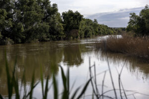 Vista del río Tajo a su paso por Toledo, en una fotografía de archivo. EFE/Ismael Herrero
