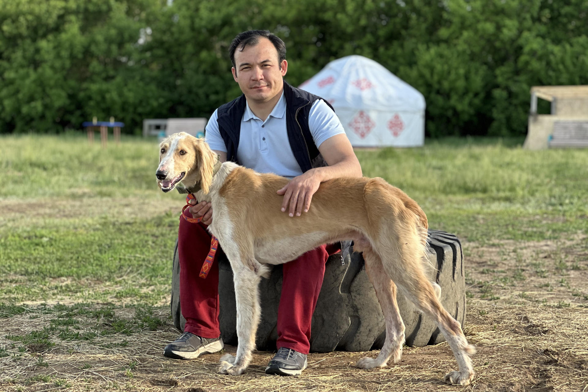 Kazajistán está tratando de recuperar la población de la raza de perro nacional, los tazis, una especie de lebrel entrenado también para el pastoreo nómada y la caza de lobos. EFE/ Kulpash Konyrov