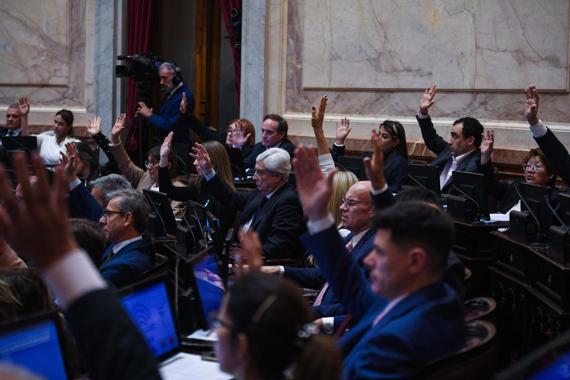Fotografía cedida por el Senado de Argentina de un grupo de senadores durante una votación este miércoles, en Buenos Aires (Argentina). EFE/ Senado de Argentina