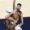 El pívot de los Nuggets, Nikola Jokic (c) lucha contra dos rivales de Oklahoma City Thunder este lunes, durante el primer partido de las semifinales de la Conferencia Oeste de la NBA que ganaron los de Denver por 119-121 y les deja con ventaja de 0-1 en la serie. EFE/EPA/GERALD LEONG