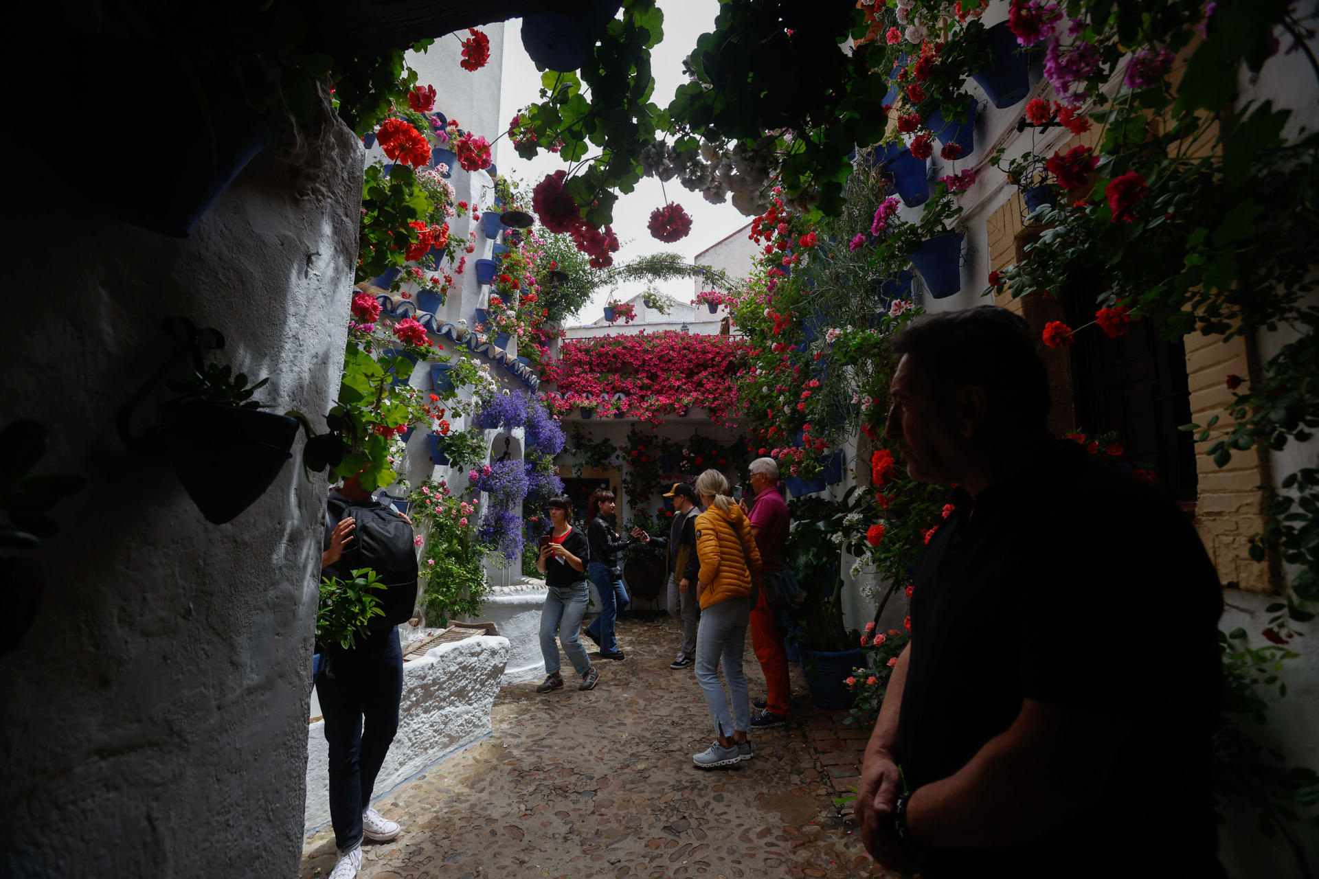 Visitantes en una nueva edición de la Fiesta de los Patios de Córdoba. EFE/ Salas