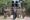 Fotografía publicada este viernes, 9 de mayo, por la Agencia Central de Noticias de Corea del Norte (KCNA) en la que aparece el líder norcoreano, Kim Jong Un, (c) al supervisar un simulacro de ataque conjunto con unidades de artillería y misiles de largo alcance adelantado el jueves en un lugar no revelado de Corea del Norte. EFE/KCNA