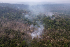 Fotografía aérea que muestra una zona quemada en el Parque Estatal Guajará-Mirím en 2024 en la ciudad de Nova Mamoré (Brasil). EFE/ Isaac Fontana