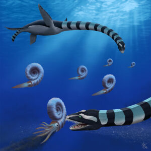 Recreación artística de dos individuos de Traskasaura sandrae cazando ammonitas durante el Cretácico Superior. Crédito: Robert O. Clark / Taylor & Francis Group