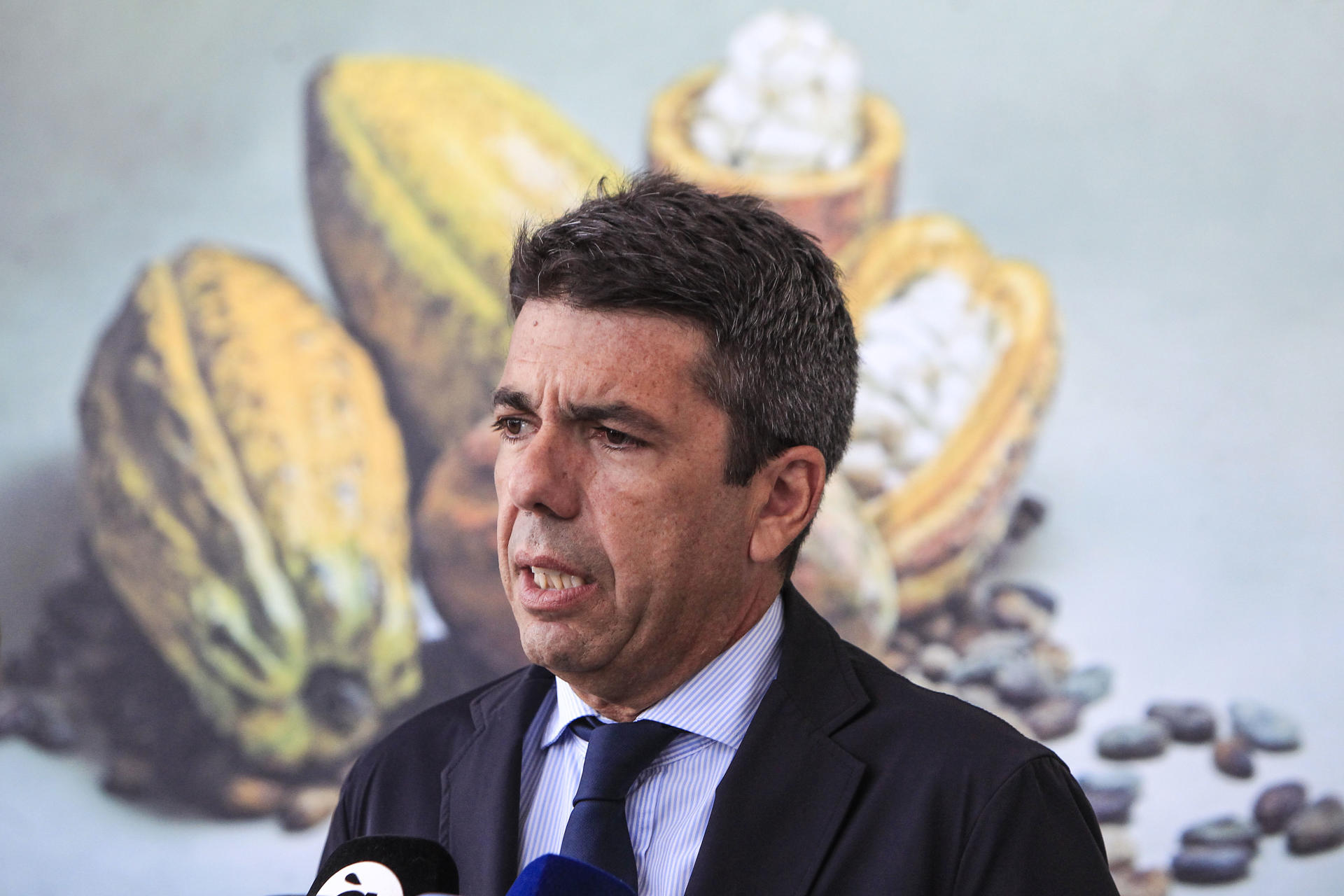 El president de la Generalitat, Carlos Mazón, atiende a los medios de comunicación tras su visita a diversas empresas del Parque Empresarial L’Espartal III. EFE/Pep Morell