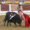 El diestro Ginés Marín lidia un toro en una corrida de toros mixta. Imagen de archivo. EFE/ Jero Morales