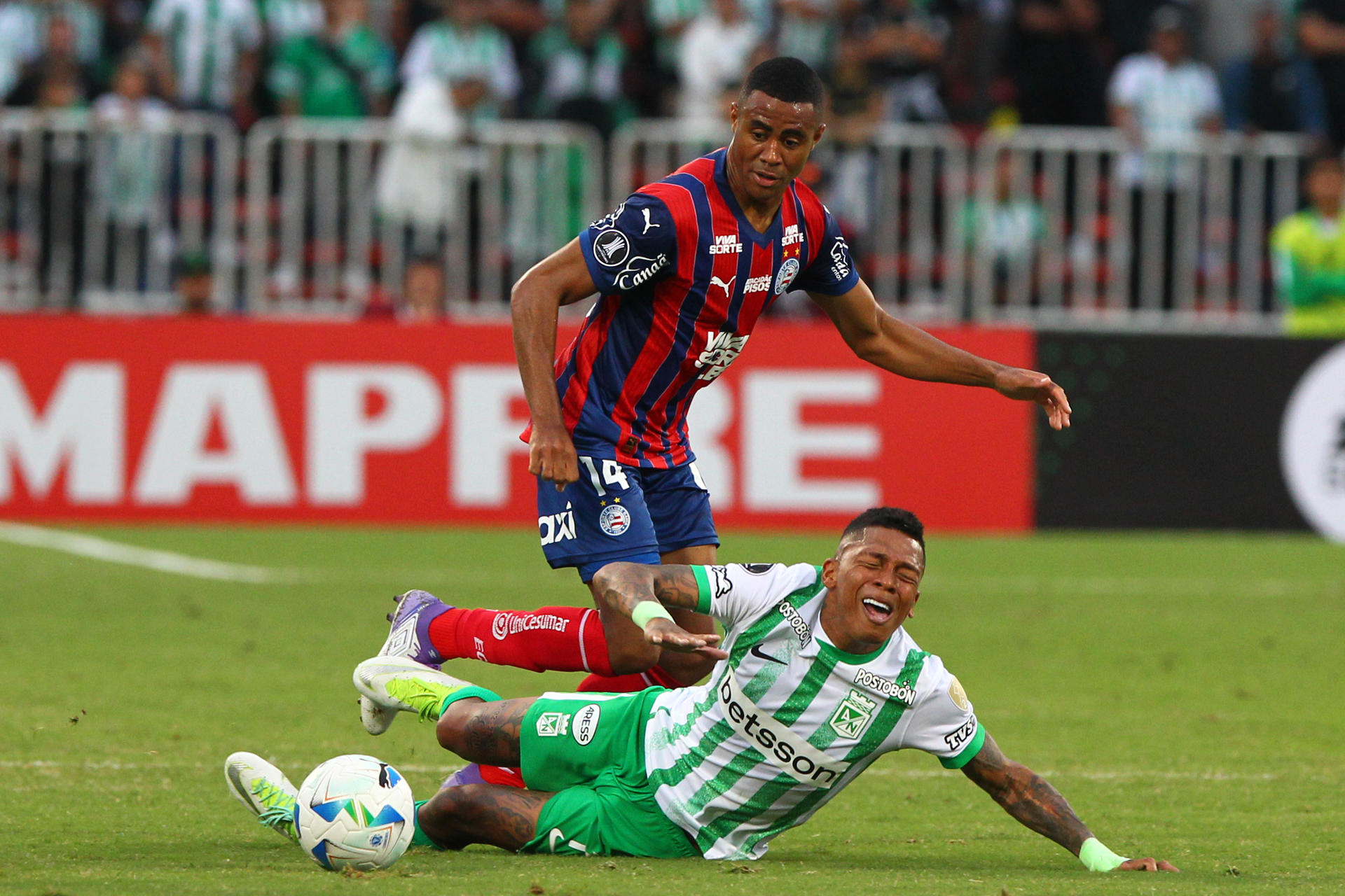 Billy Arce (abajo), de Atlético Nacional, disputa el balón con Erick Conrado, de Bahía, en un partido de la fase de grupos de la Copa Libertadores entre Atlético Nacional y Bahía, en el estadio Atanasio Girardot de Medellín (Colombia). EFE/Stringer