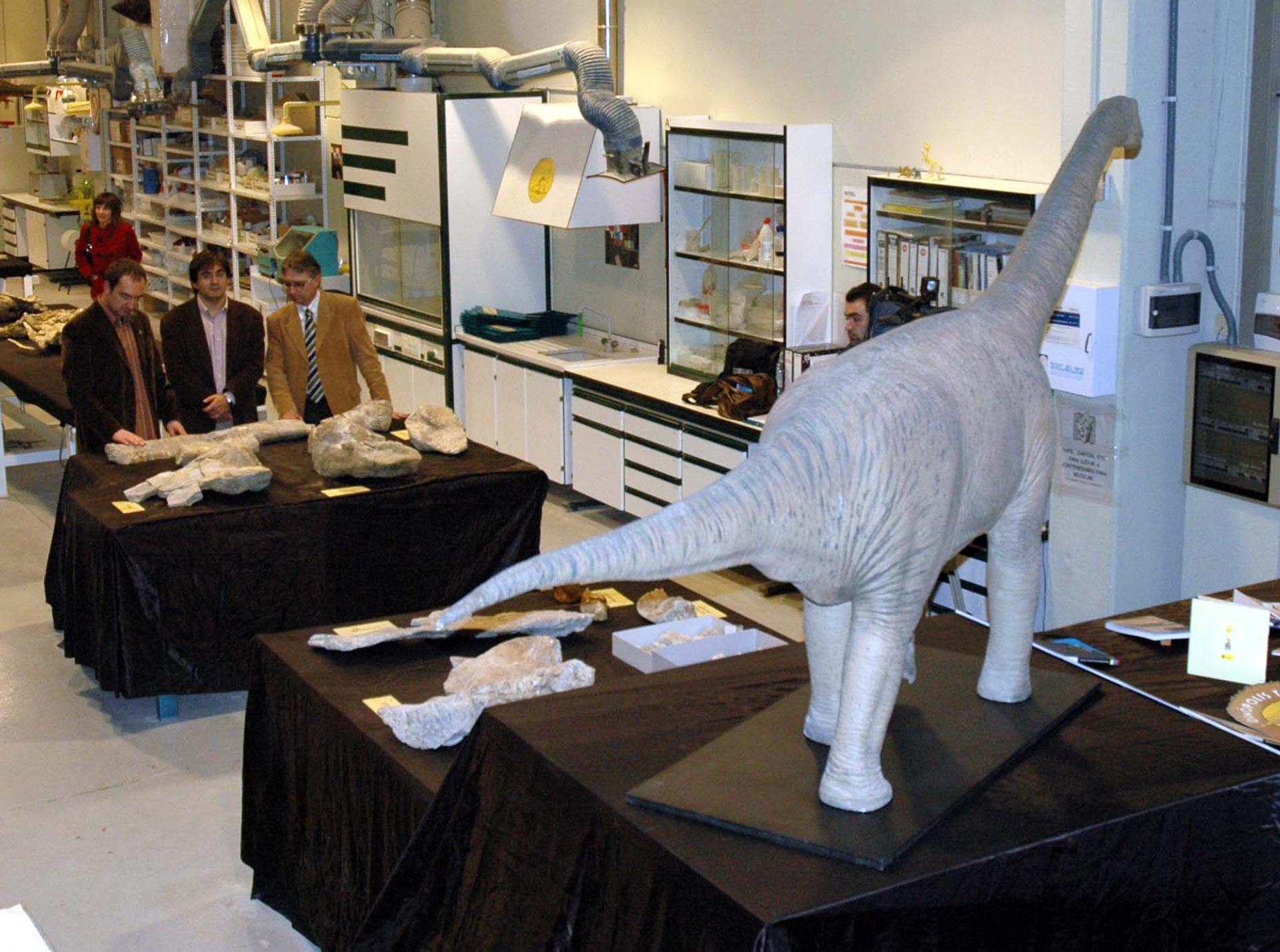 En la imagen de archivo, una reconstrucción del sauropodo Turiasaurus riodevensis encontrado en el yacimiento Barriohonda-El Húmero en Riodeva (Teruel).EFE/Francisco Moreno