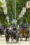 Coches de caballos pasean por una de las calles de la Feria de Abril de Sevilla, este miércoles. EFE/ Raúl Caro.
