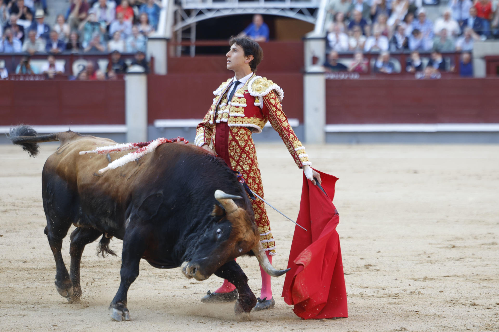 El diestro Andrés Roca Rey da un pase a su primer astado durante el festejo taurino de la Feria de San Isidro, este jueves en la Plaza de Toros de Las Ventas, en Madrid. EFE/ Juanjo Martin
