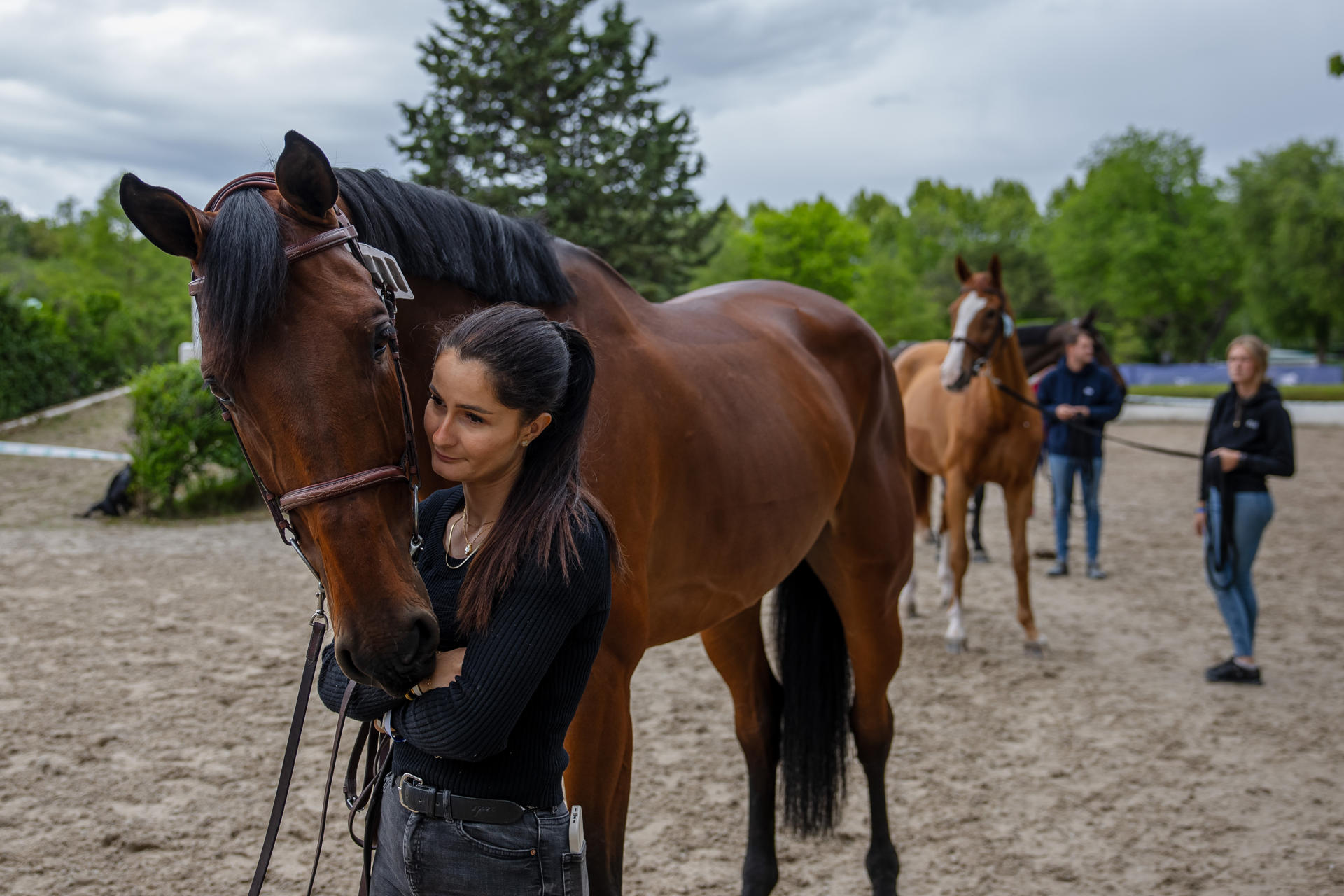 - Los cuidadores preparan los caballos para el mayor evento hípico del año, el Longines Global Champions Tour, que reunirá a la élite ecuestre mundial del 16 al 18 de mayo en el Club de Campo Villa de Madrid. EFE/ Daniel González